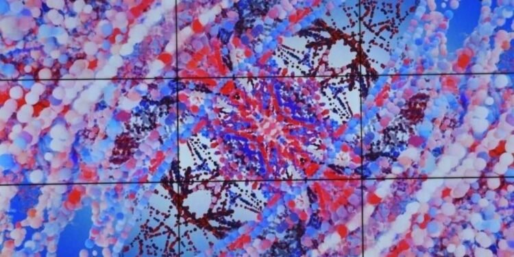 Şaşırt Beni İstanbul Sergisi