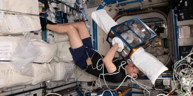 Uzayda İnsan Fizyolojisi ve Kemik Kaybı Üzerine Araştırmalar