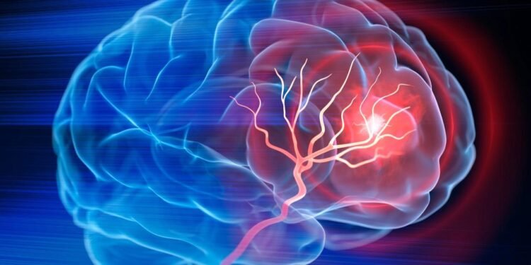 İnsan Beyninin Gizemli Anları ve Çözüm Süreçleri Üzerine Yeni Bulgular