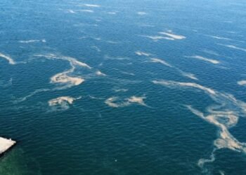 Marmara Denizi’nde Müsilaj Krizi: Kınalıada ve Çevresinde Güçlü Görüntüler