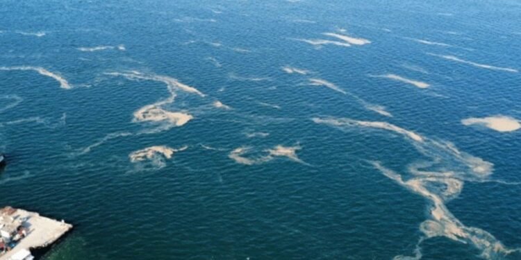 Marmara Denizi’nde Müsilaj Krizi: Kınalıada ve Çevresinde Güçlü Görüntüler