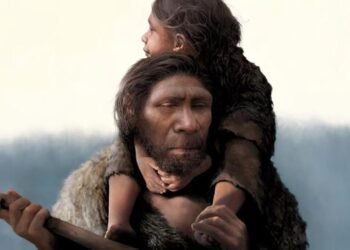 Neandertallerin Sanat ve Zeka İzleri Üzerine Yeni Keşifler