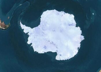 Antarktika’da Keşfedilen Yumuşak Kabuklu Fosil Yumurta ve Bilim Dünyasına Getirdiği Yeni Perspektifler