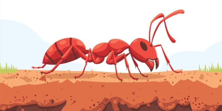 Avrupa’yı Saran Devasa Süper Karınca İstilası