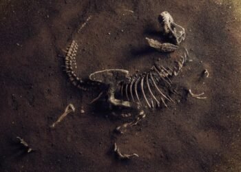 Dinozorların Fosilinde Keşfedilen Kanser Tümörü: Tarihin Derinliklerinden Günümüze Bir Sır