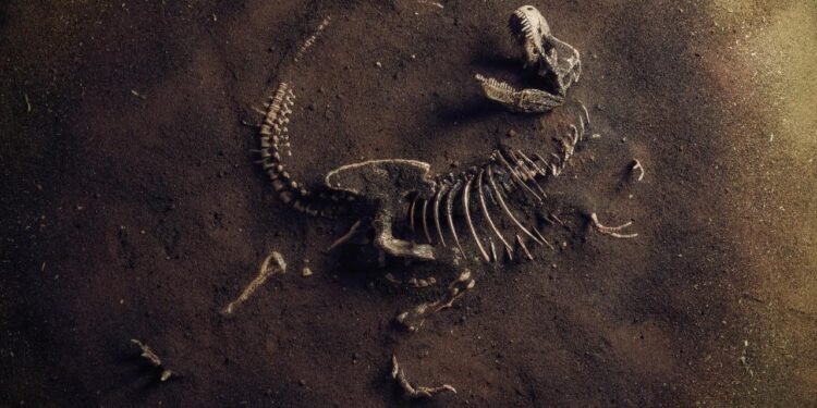 Dinozorların Fosilinde Keşfedilen Kanser Tümörü: Tarihin Derinliklerinden Günümüze Bir Sır