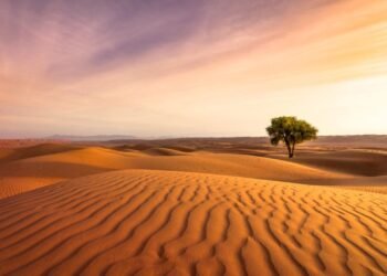 Elektrik Gerektirmeyen ve Havadaki Suyu İçme Suyuna Dönüştüren Yenilikçi Cihaz