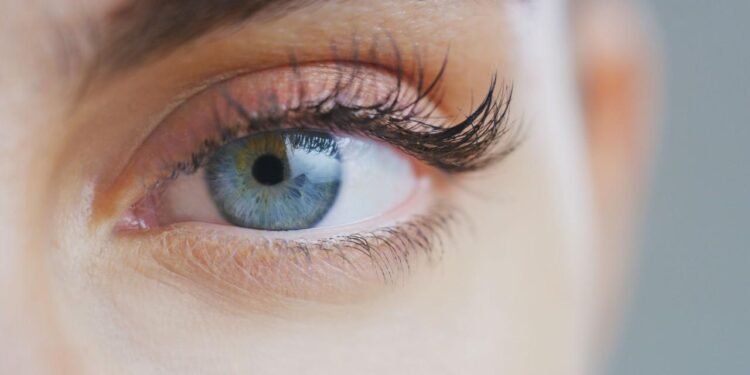 Gözler ve Hafıza: Anılarımızın Gizemli İşleyişi