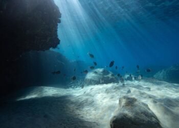 Okyanuslarda Güneş Işığı Azalması ve Ekosisteme Etkileri