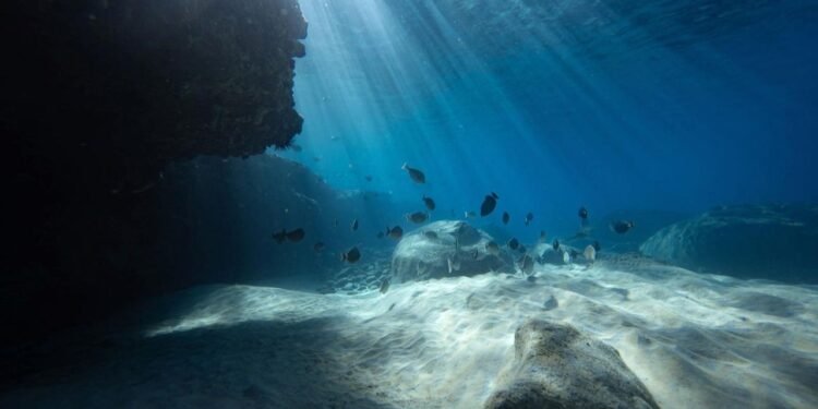 Okyanuslarda Güneş Işığı Azalması ve Ekosisteme Etkileri
