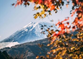 Volkanların Erken Uyarı Sinyalleri: Ağaçların Renk Değişimi ve Uzay Taramaları