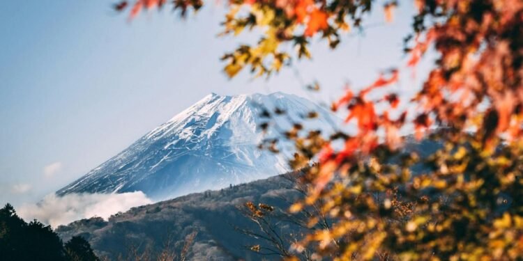 Volkanların Erken Uyarı Sinyalleri: Ağaçların Renk Değişimi ve Uzay Taramaları