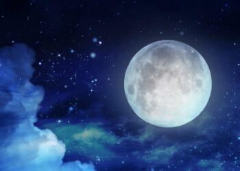 Ay’a ulaşan ilk canlı, aslında bir insan değildi