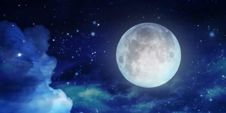 Ay’a ulaşan ilk canlı, aslında bir insan değildi