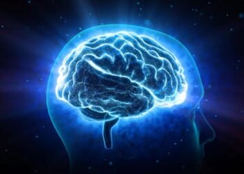 Beynimiz ışık saçıyor, ama nedenini halen bilmiyoruz