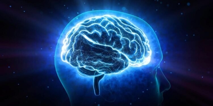 Beynimiz ışık saçıyor, ama nedenini halen bilmiyoruz