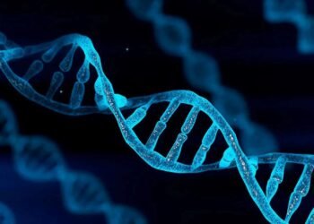Bilim insanları, DNA’mızda saklanmış gizli bir kod buldular