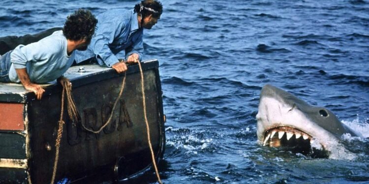 Büyük Beyaz Köpekbalığının Korkutucu Hikayesi ve Sinema Dünyasına Yansıması