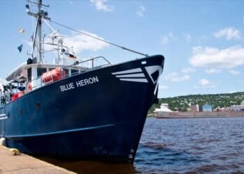 Gemi bakımında şaşırtan keşif: Yepyeni bir yaşam formu bulundu