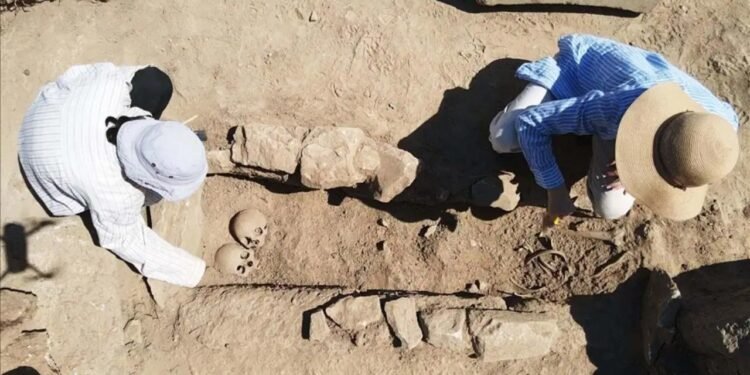 Herakleia Antik Kenti’nde Arkeolojik Kazı Çalışmaları ve Buluntular