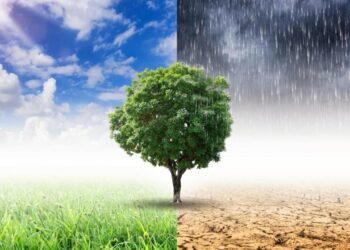 İnsanların iklim değişimine etkisi, sanılandan çok önce başlamış olabilir