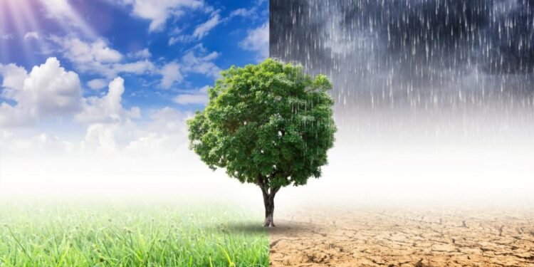 İnsanların iklim değişimine etkisi, sanılandan çok önce başlamış olabilir