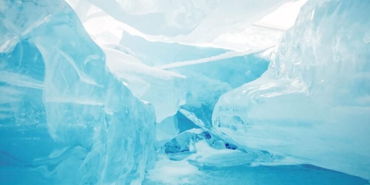 Issız kıtada insan izleri: Antarktika’da bulunan kafatası bize ne anlatıyor?