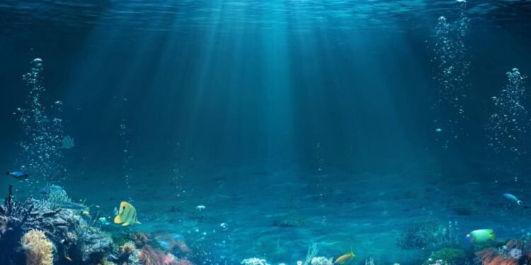 Kanserin çaresi denizlerde olabilir mi?