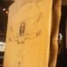 Leonardo da Vinci’nin ünlü Vitruvius Adamı çiziminin gizemi nihayet çözüldü