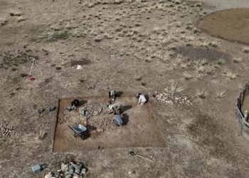 Moğolistan’daki Togu Balık Kenti ve Arkeolojik Kazı Çalışmaları