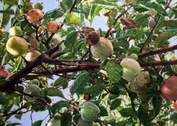 Sanatçı Mustafa Orkun Müftüoğlu’nun Güncel Sergisi ve Sanatsal Yaklaşımları