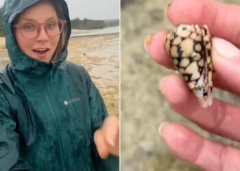 TikTok videosu çekeyim derken, ölümün eşiğinden işte böyle döndü