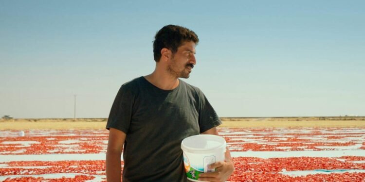 Türkiye’nin Oscar Aday Adayı Açıklandı: “Hemme’nin Öldüğü Günlerden Biri”