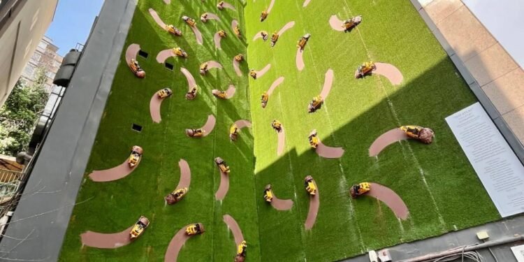 Yanköşe Projesi ve Alper Aydın’ın “Jeo-Atlas” Eseriyle Deneyim