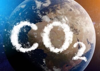 Yeni nesil canlı yapı malzemesi: Hem büyüyor, hem de karbon yakalıyor