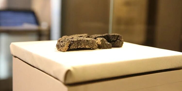 5 bin yıllık ekmek bulunmuştu: Fransız maya şirketi sponsor oldu