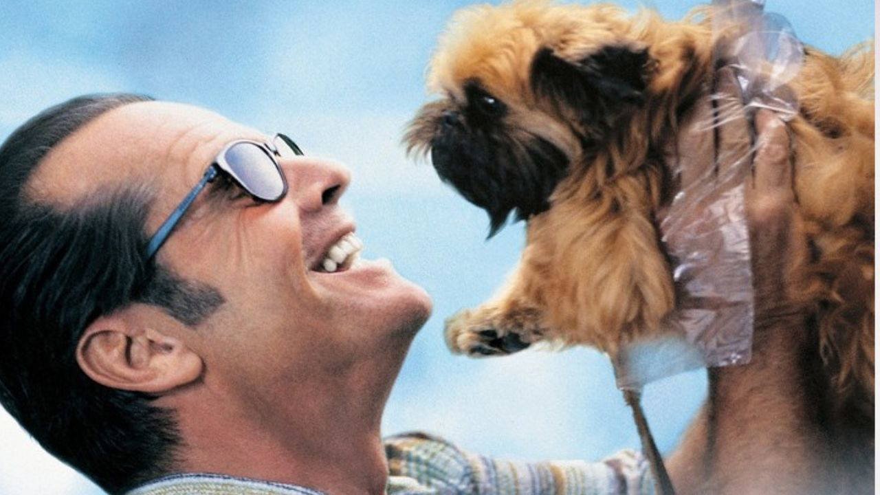 Romantik komedi tutkunlarına: IMDb’ye göre en iyi 10 romantik komedi filmi