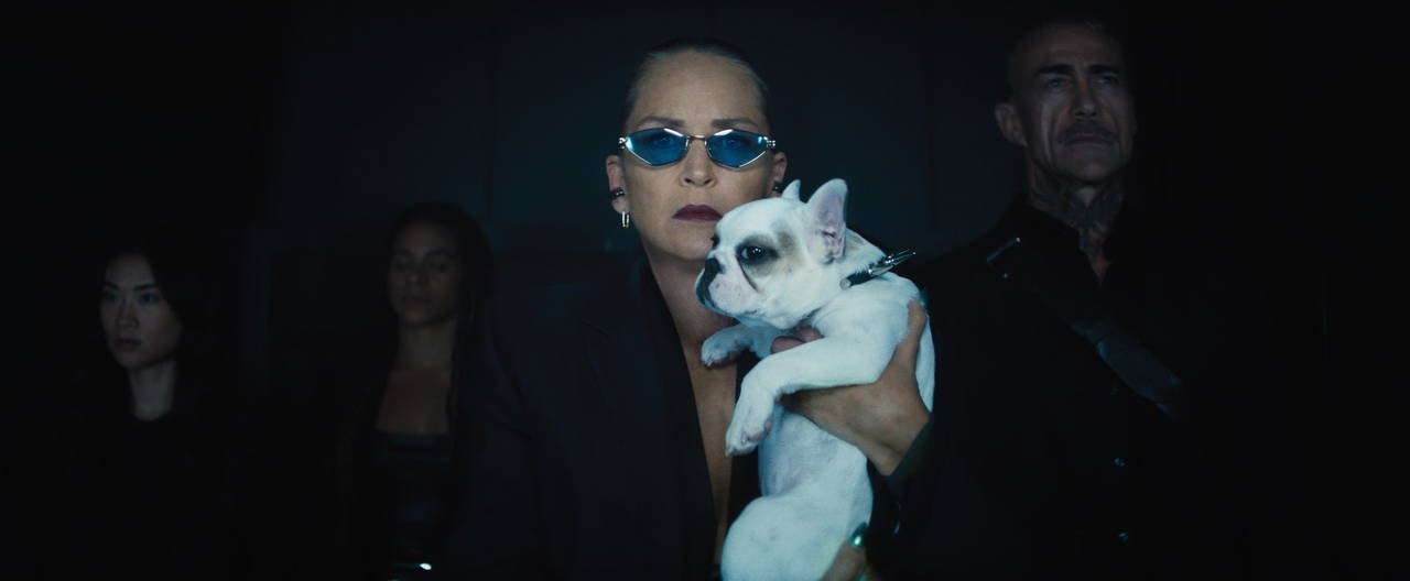 Sharon Stone’nun muhteşem dönüşü
