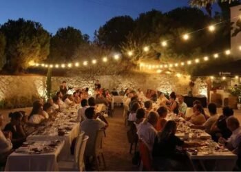 Bir Başkadır Avşa: Ada Karası Hasadı ve Bağcılık Turizminin Büyülü Yolculuğu