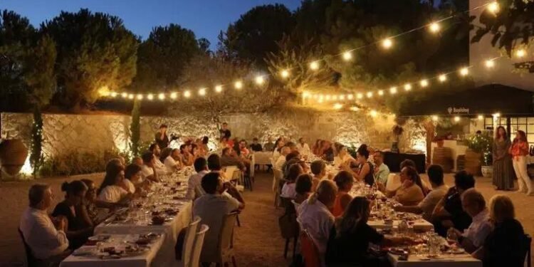 Bir Başkadır Avşa: Ada Karası Hasadı ve Bağcılık Turizminin Büyülü Yolculuğu