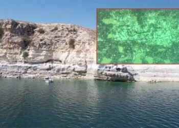 Atatürk Barajı Altında Keşfedilen Epipaleolitik Dönem Kaya Resimleri ve Yeniden Keşif Planları