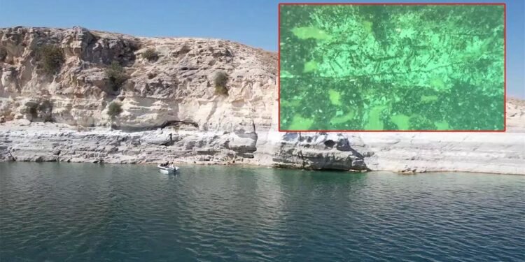 Atatürk Barajı Altında Keşfedilen Epipaleolitik Dönem Kaya Resimleri ve Yeniden Keşif Planları