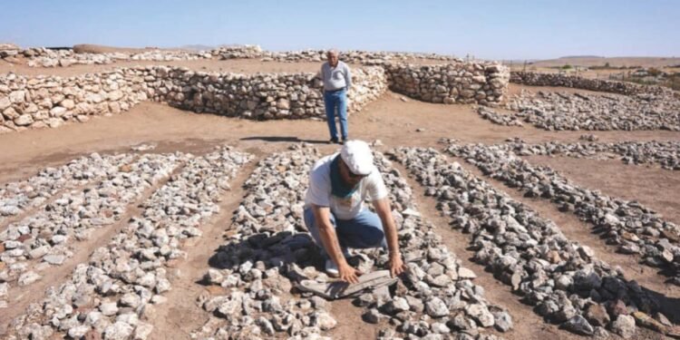 Çayönü Tepesi: Çevre, Mimari ve Kültürel Atılımlar İçinde Neolitik Bir Yolculuk