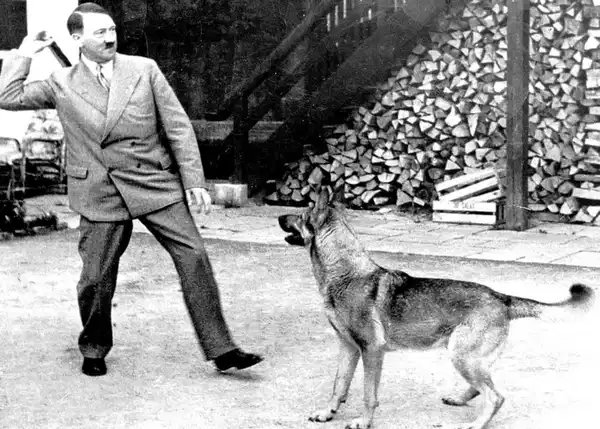 Hitler'in Vasiyeti ve Servet: Sıradışı Bir Mirasın Kronolojisi