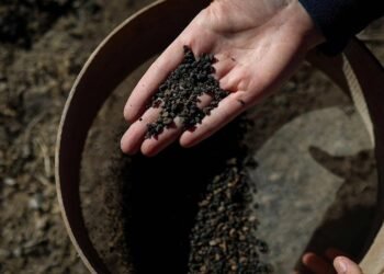 İremir Höyüğü Kazılarında Erken Tunç Çağı Depo ve Mutfak Alanlarıyla Tarımsal Merkeze İşaret