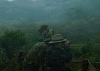 Karmaşa ve Kardeşlik: Sınırsız Göçmenlik ve Hafıza Sineması