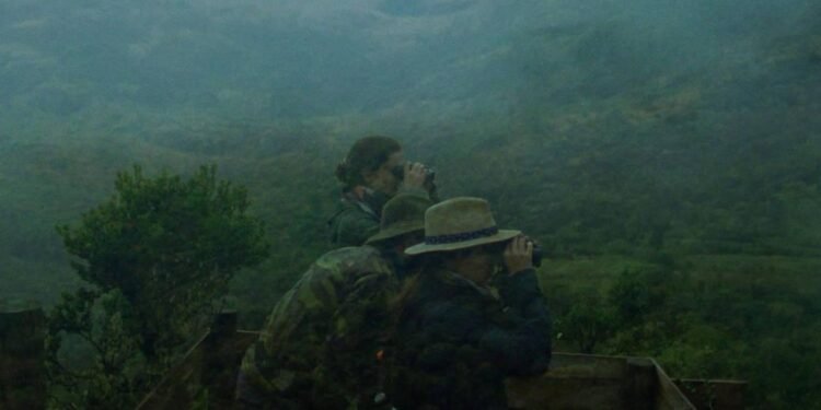 Karmaşa ve Kardeşlik: Sınırsız Göçmenlik ve Hafıza Sineması