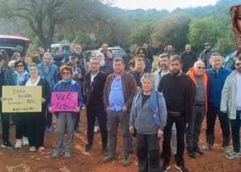 Limanağazı’nda İmar ve Yol Yapımına Yönelik İddialar: Yetkililerin İzinleri ve Bölgenin Korunması