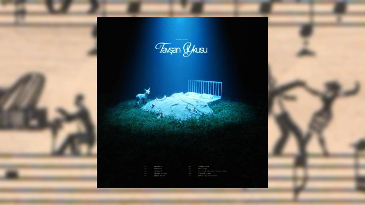 ŞAHİNLER ORKESTRASI ve DİĞER YANKILAR: YALANCI YARİM ÇARŞAMBAYI SEL ALDI ile TAVŞAN UYKUSU’nun İzinde