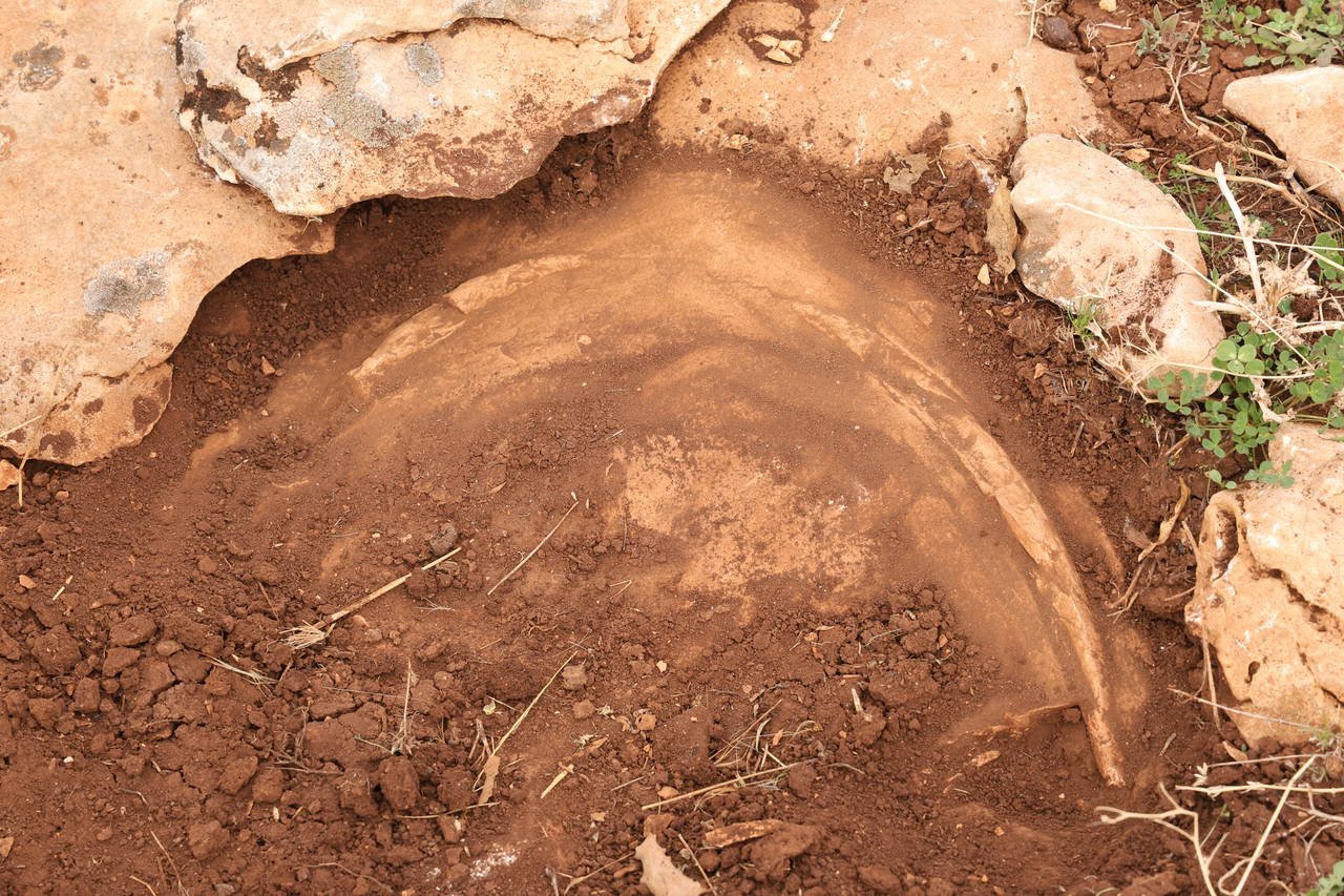 Tetis Havzası’ndan Günümüze Kapsamlı Jeolojik İnceleme: Kıyıdaş Bölgelerde Depremler ve Fosiller